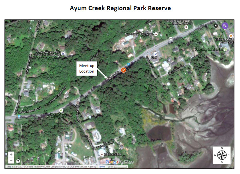 Ayum_Creek_Map.jpg
