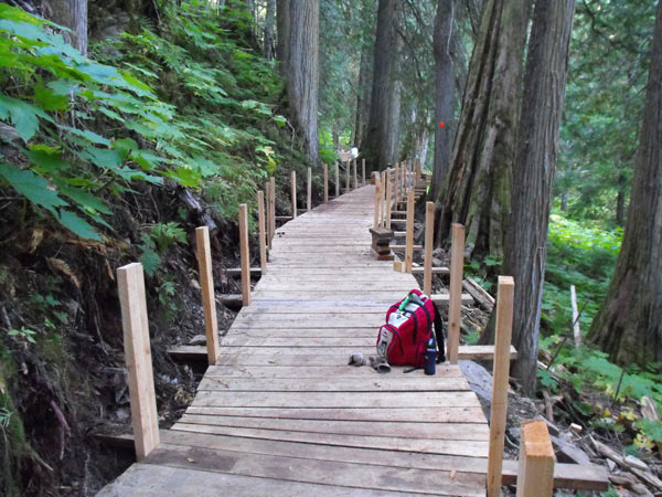 Once complete, the Ancient Forest Trail boardwalk will be similar to the Universal Boardwalk (shown above) constructed with PCAF funding in 2011.