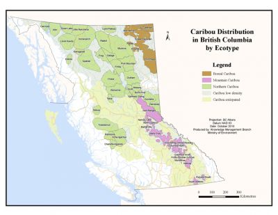 BC caribou map