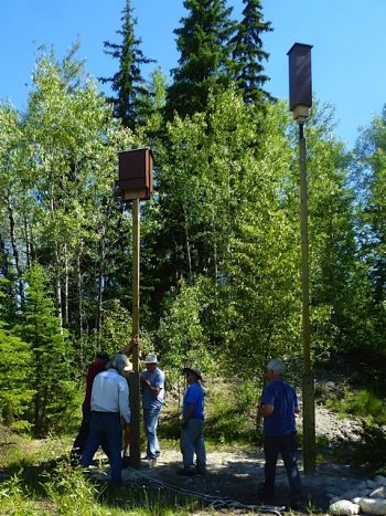 Volunteers install bat houses at Jim Smith Lake as part of the Kootenay Community Bat Project.