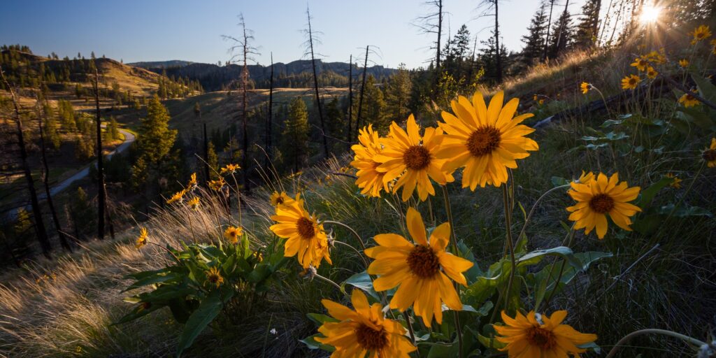 Legacy Landscapes - White Lake Basin Biodiversity Ranch - The