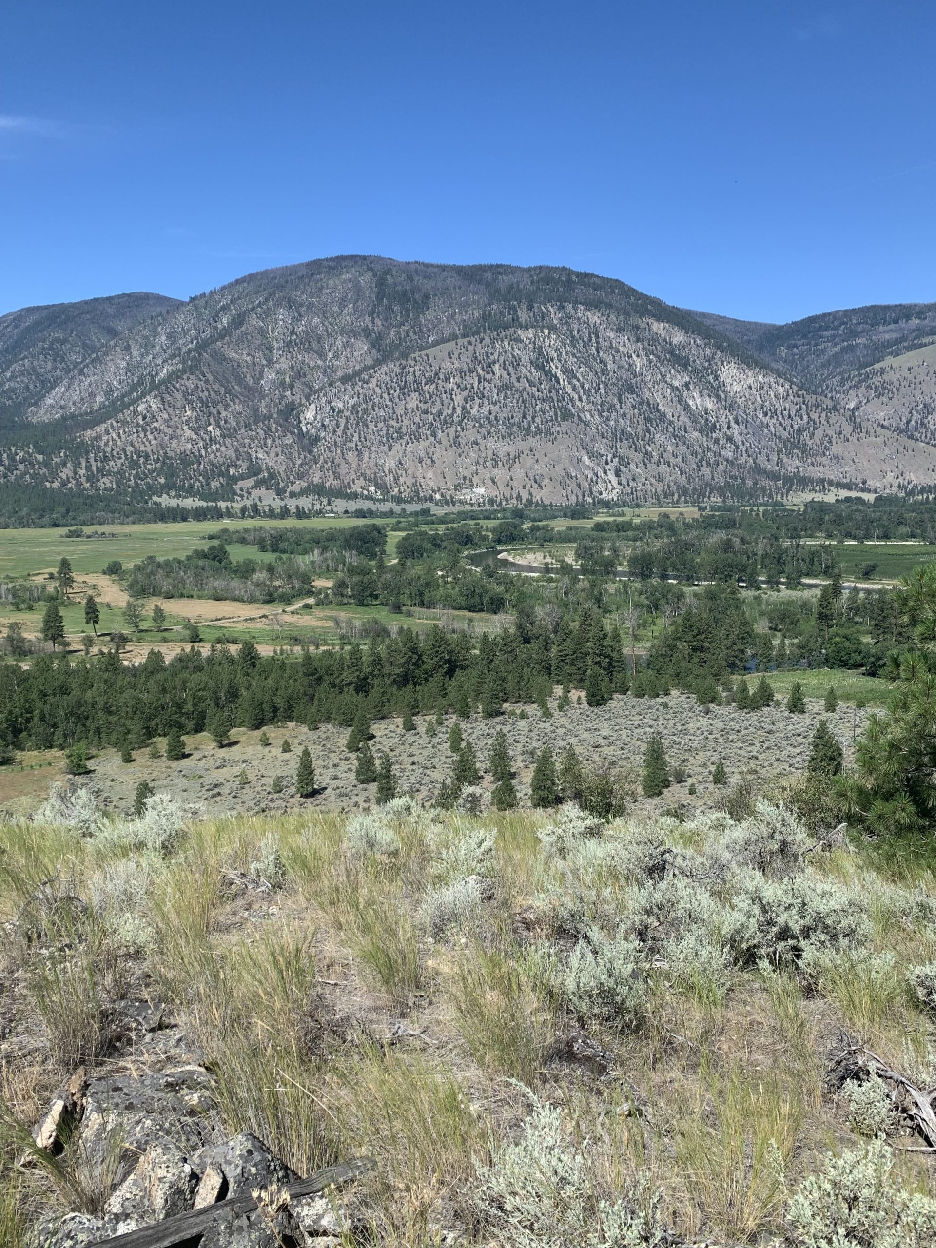 SukeGrassRoots　FOREST Rare Grasslands Protected in Similkameen Valley - Habitat